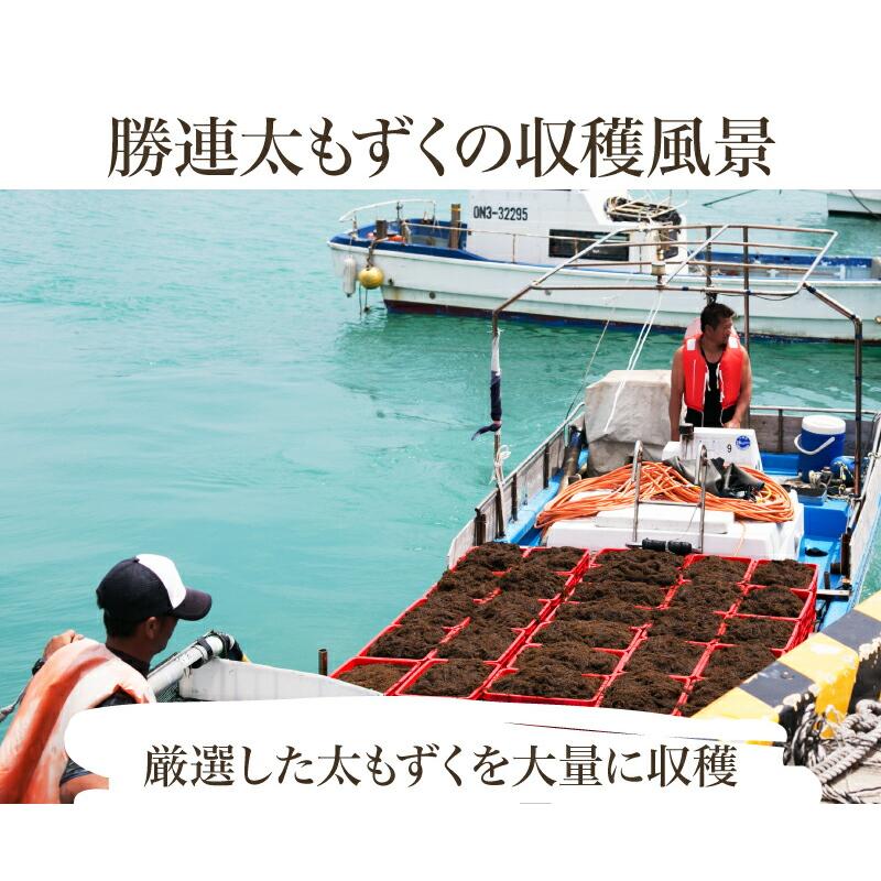 塩もずく 600g 使いやすい 小分け200g×3P 沖縄産 1000円 ポッキリ メール便送料無料 有数の名産地 勝連産｜もずく600g｜もずくのタレのオマケ付き！｜edoya13｜04