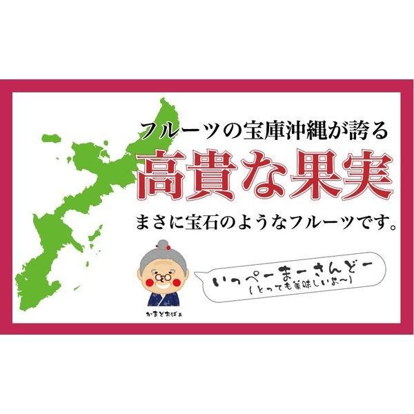 パッションフルーツ 1kg(9玉〜11玉) 送料無料！パイナップルやマンゴーと並ぶ人気を誇るパッションフフルーツ♪ ｜果物 ｜ |  | 04