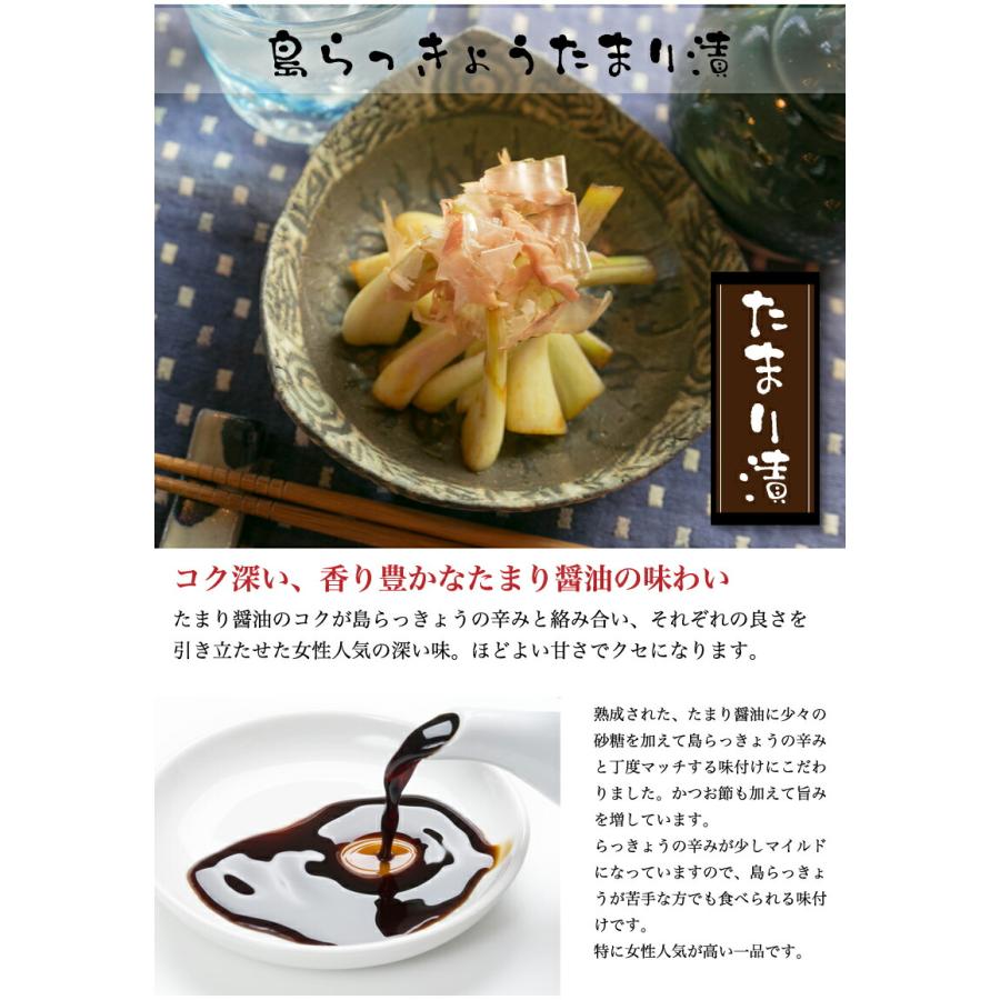 【沖縄県産】島らっきょう 紫らっきょう 食べ比べセット 沖縄県産】島らっきょう 紫らっきょう 食べ比べセット 【沖縄料理】島