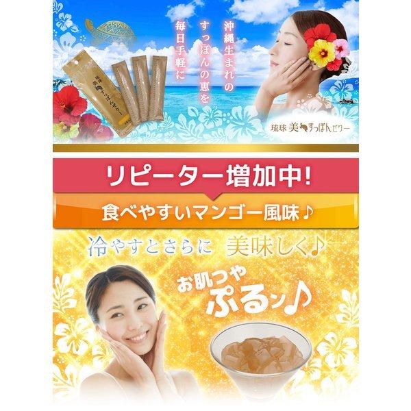 すっぽんコラーゲンゼリー 楽天市場】【3箱セット】 琉球すっぽん コラーゲンゼリー 10g×30