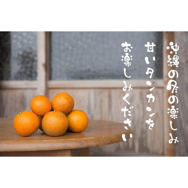 タケちん様/沖縄県産おすすめタンカン(5kg)2箱 沖縄県産 フルーツ