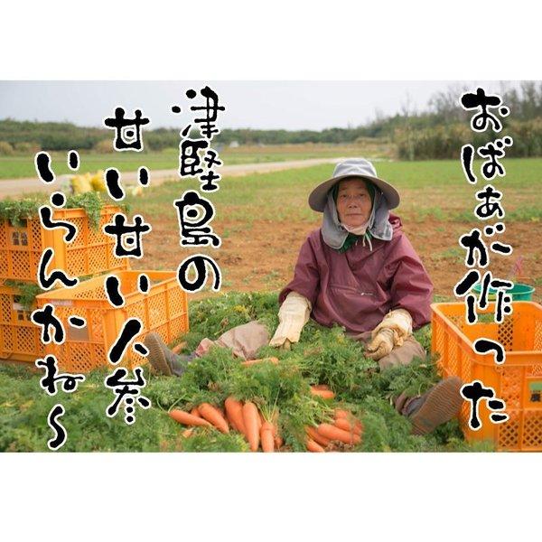津堅島にんじん 人参 訳あり 甘い沖縄自慢の津堅島人参 お試し 3kg