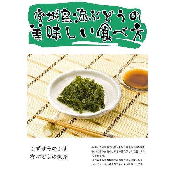 生海ぶどう たっぷり500g 美ら海で有名な宮城島で採れた 海ぶどう 2セット購入で送料無料 海のキャビアとも称される味をお楽しみください Umibudo05 沖縄お土産通販かまどおばぁの店 通販 Yahoo ショッピング