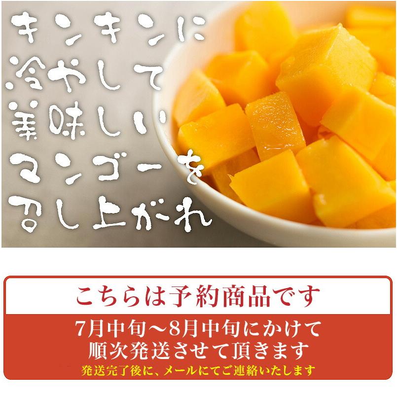 食品 沖縄産 ワケありマンゴー 4.5キロ クール便発送