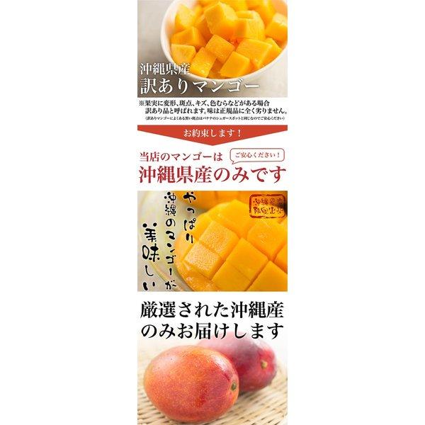 訳あり 沖縄産 マンゴー 4-6玉 2kgセット 送料無料【予約受付中