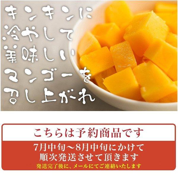 訳あり 沖縄産 マンゴー 4-6玉 2kgセット 送料無料【予約受付中