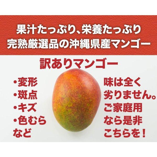 訳あり 沖縄産 マンゴー 4-6玉 2kgセット 送料無料【予約受付中
