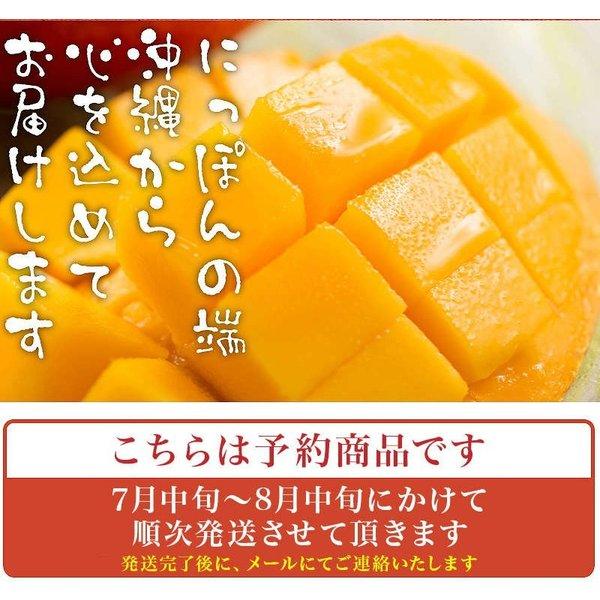 訳あり 沖縄産 マンゴー 4-6玉 2kgセット 送料無料【予約受付中