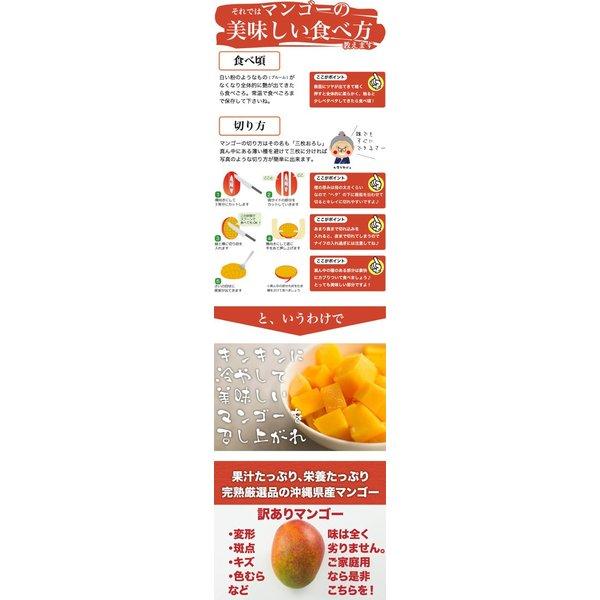 訳あり 沖縄産 マンゴー 6-9玉 3kgセット 送料無料【予約受付中