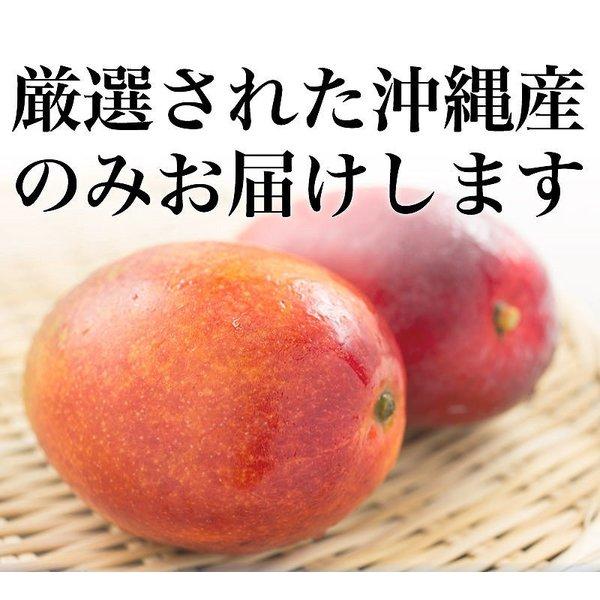 ※限定1ケース※アウトレット沖縄県産ミニマンゴー3kg 沖縄産マンゴーミニマンゴー アーウィン種 アップルマンゴー3kg