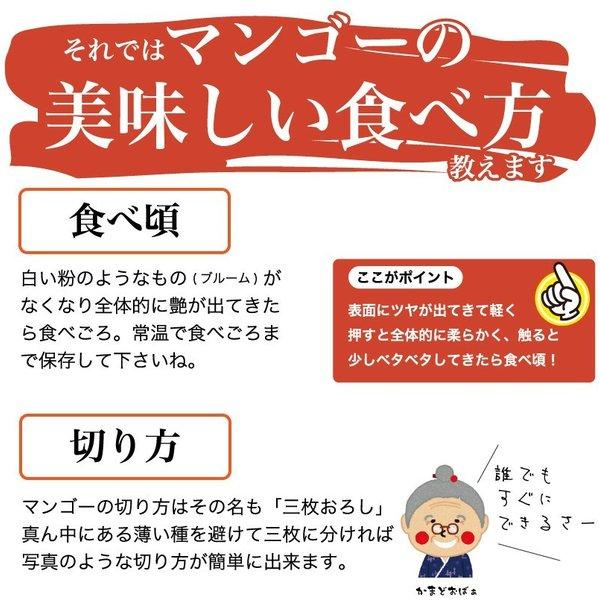 訳あり 沖縄産 マンゴー 6-9玉 3kgセット 送料無料【予約受付中