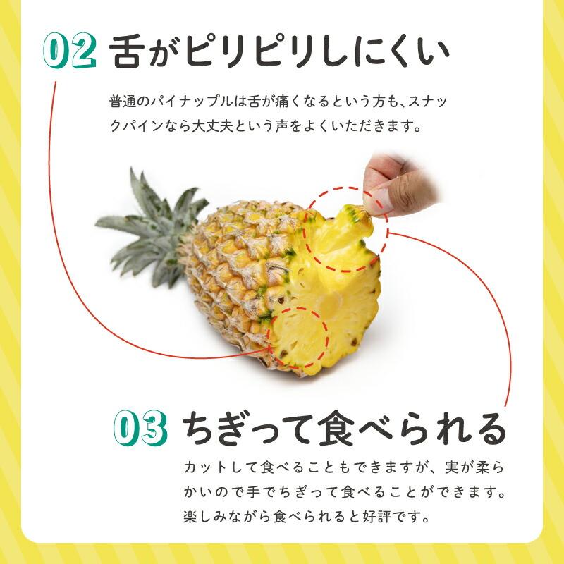 送料無料 沖縄産 スナックパイン 5.0kg（4〜10玉）産地直送