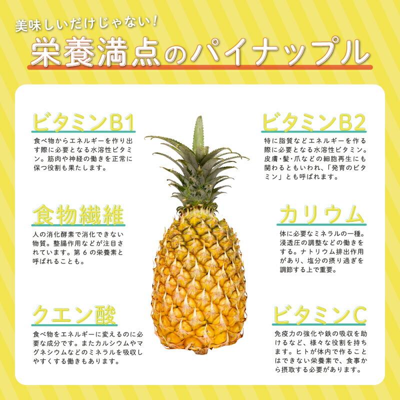 スナックパイン 送料無料 沖縄産 5.0kg（4〜10玉）産地直送、フルーツ