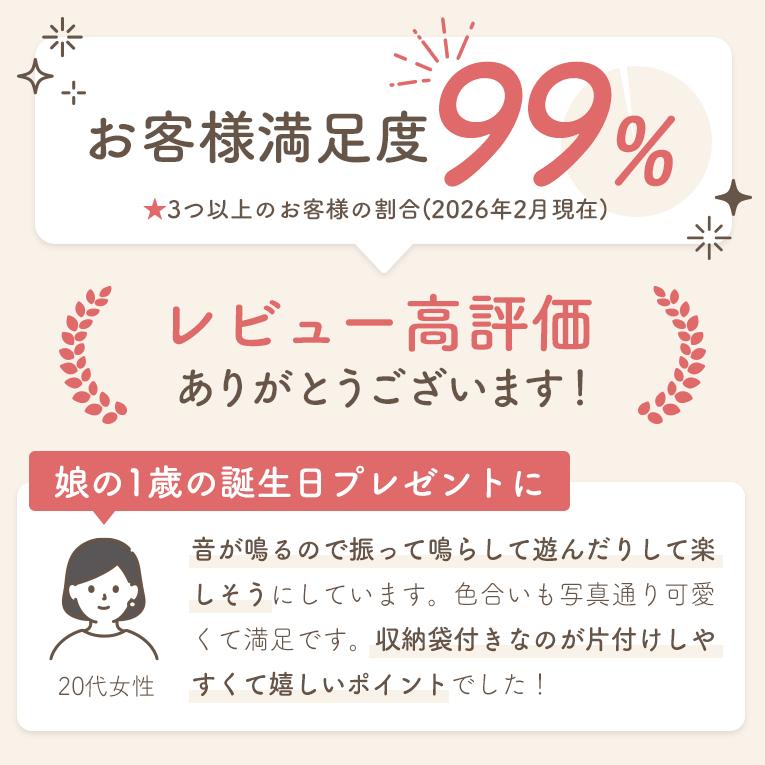 クリスマスプレゼント  積み木 1歳 プレゼント ココブロックス 知育玩具 木のおもちゃ 木製 2歳 3歳 パズル 誕生日 音の鳴る 赤ちゃん 男の子 女の子 エデュテの画像