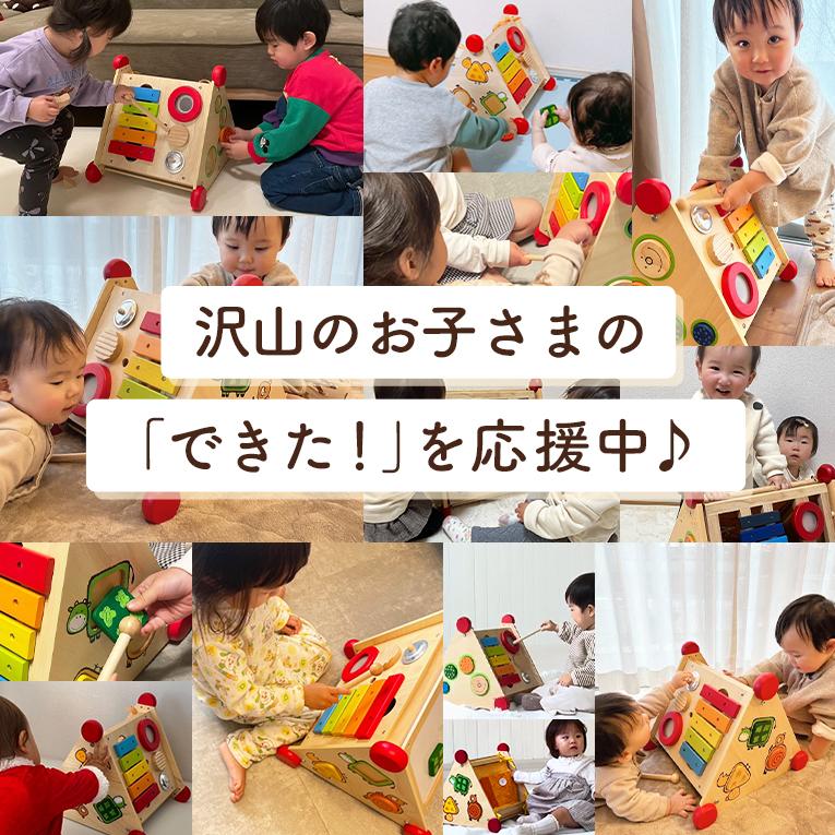 木のおもちゃ 1歳 指先レッスンボックス 知育玩具 2歳 3歳 木製 赤ちゃん 女の子 男の子 アイムトイ 誕生日 プレゼント 1歳半 エデュテの画像