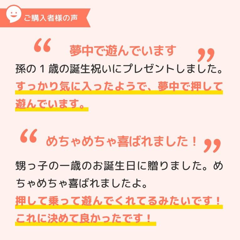 手押し車 赤ちゃん 1歳 誕生日 プレゼント ランキング 一歳 ウォーカー ライド おもちゃ 知育玩具 木のおもちゃ アイムトイ 1歳児 カタカタ Im 木のおもちゃメーカー エデュテ 通販 Yahoo ショッピング