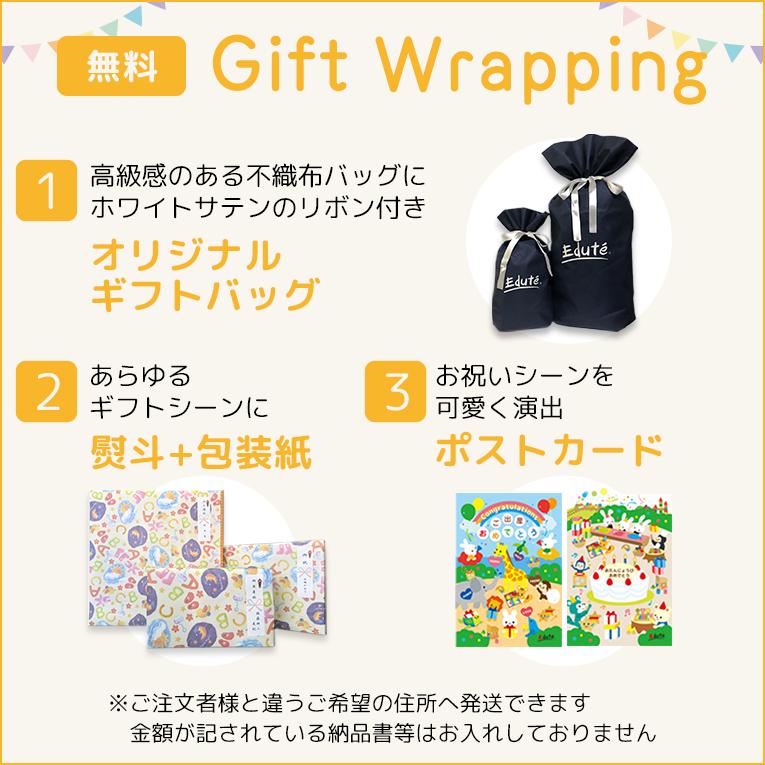KAPLA（カプラ） 積み木 100 KAPLA100 1歳 誕生日プレゼント 木の