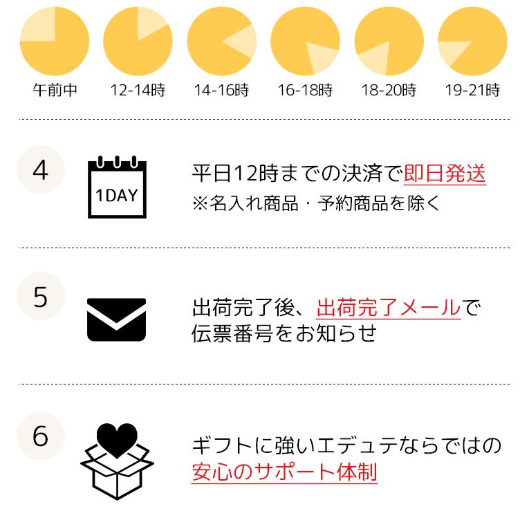 KAPLA（カプラ） 積み木 KAPLA200 1歳 魔法の板 知育玩具 誕生日