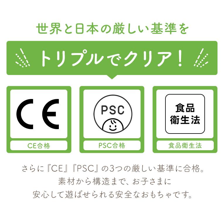 積み木 1歳 誕生日 プレゼント ランキング 一歳  おもちゃ 知育玩具  SOUNDブロックスの画像