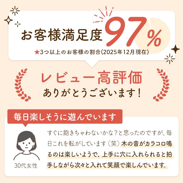 知育玩具 木のおもちゃ TREEスロープ スロープトイ 1歳 2歳 3歳 出産祝い 赤ちゃん 誕生日 プレゼント 男の子 女の子の画像