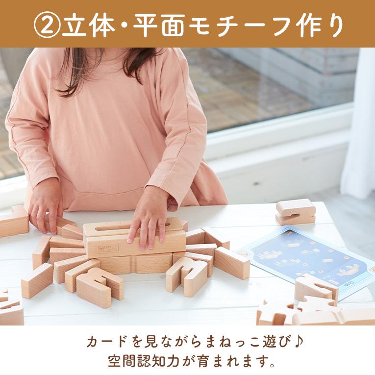 積み木 知育玩具 サムブロックス Sumblox オリジナルスターターセット