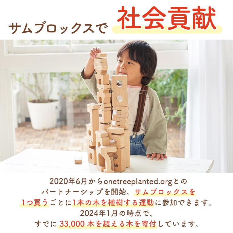 積み木 知育玩具 サムブロックス Sumblox オリジナルスターターセット