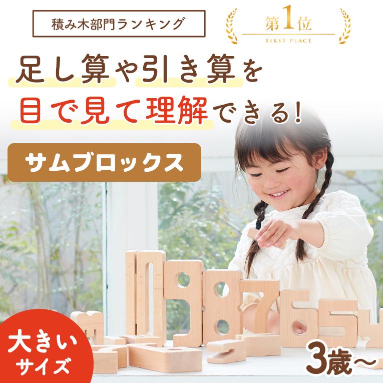 積み木 知育玩具 サムブロックス Sumblox オリジナルスターターセット