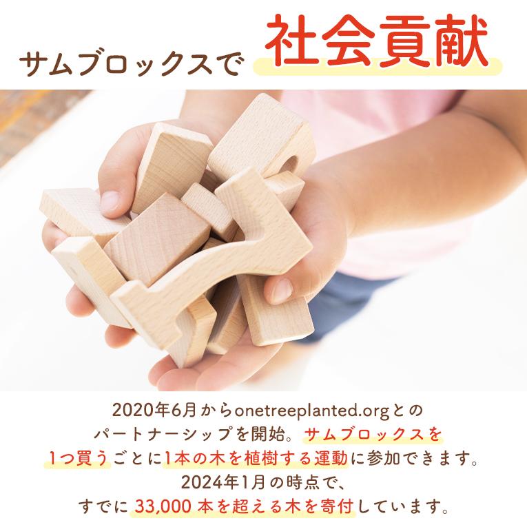 積み木 知育玩具 サムブロックス Sumblox ミニスターターセット 2歳 3