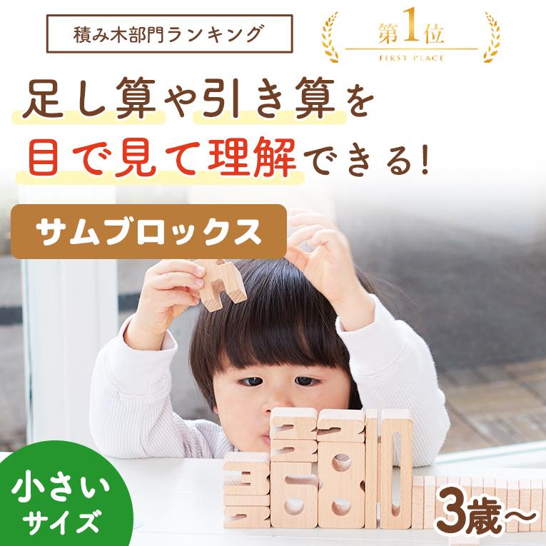 積み木 知育玩具 サムブロックス Sumblox ミニスターターセット 2歳 3