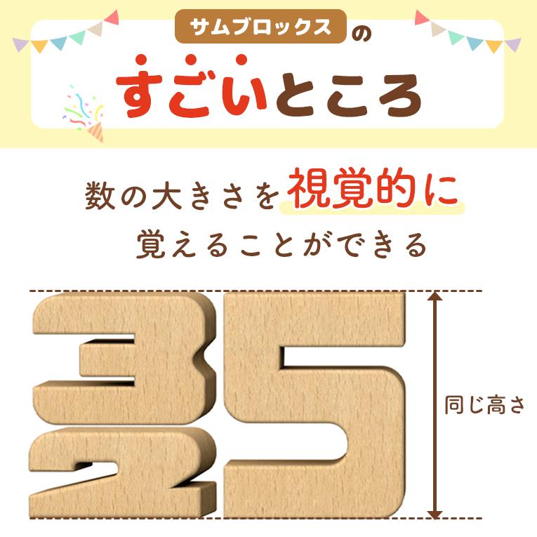 積み木 知育玩具 サムブロックス Sumblox ミニスターターセット 2歳 3