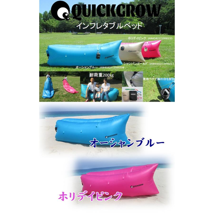 インフレタブルベッド クイックグロー QUICK GROW/ポンプ不要/エア