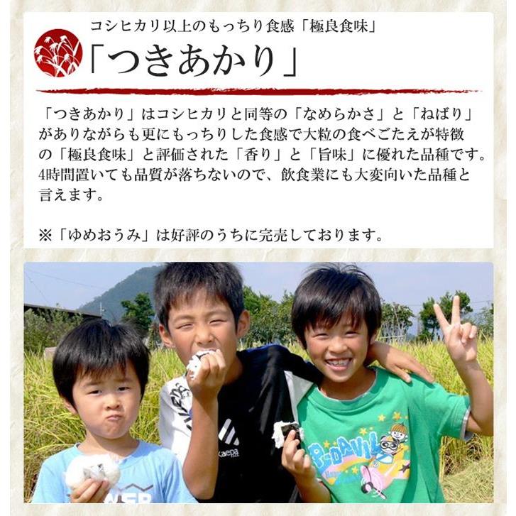 [令和７年度産 新米] つきあかり [白米] １０kg お米 湖北米 特別栽培米 [送料無料(一部除く)] 1等米 安心 安全 滋賀県 減農薬栽培 |  | 01