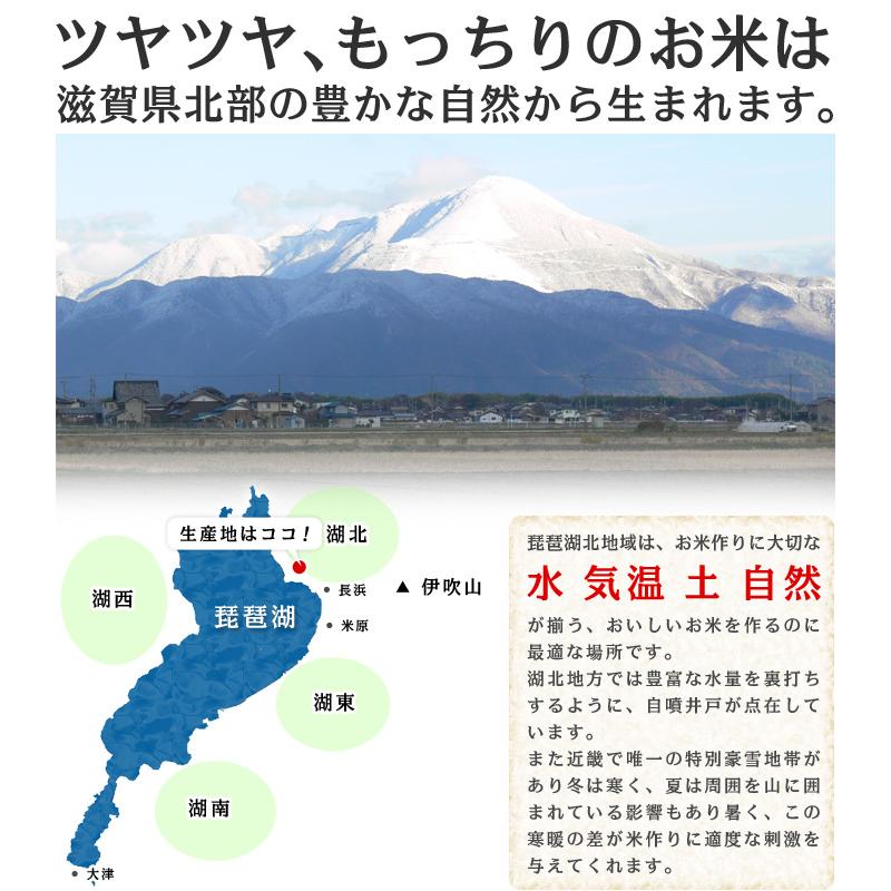 [令和７年度産 新米] つきあかり [白米] １０kg お米 湖北米 特別栽培米 [送料無料(一部除く)] 1等米 安心 安全 滋賀県 減農薬栽培 |  | 02