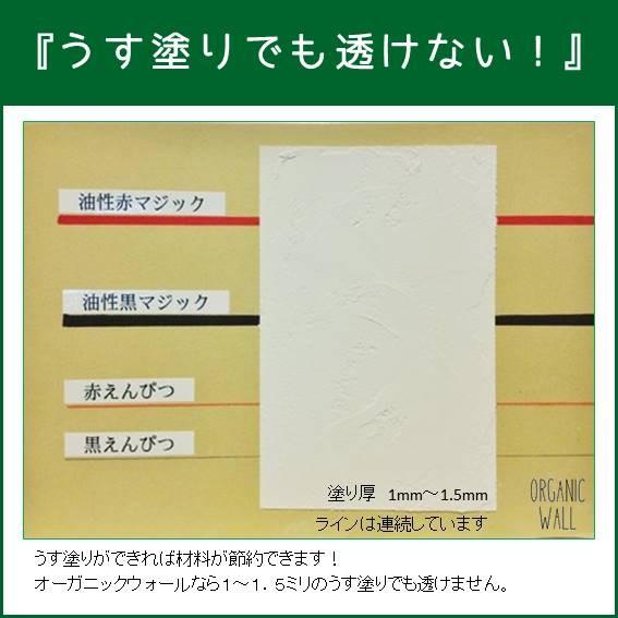 塗り壁材 DIY 内装用 クロスの上から リフォーム 天然素材 珪藻土 ペースト オーガニックウォール 10kg入 全14色｜ee-palette｜14