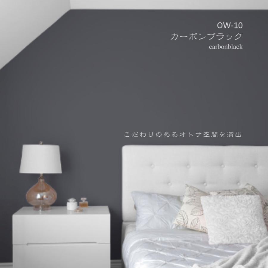 珪藻土 壁 漆喰 オーガニックウォール 塗り壁 DIY リフォーム リノベ 