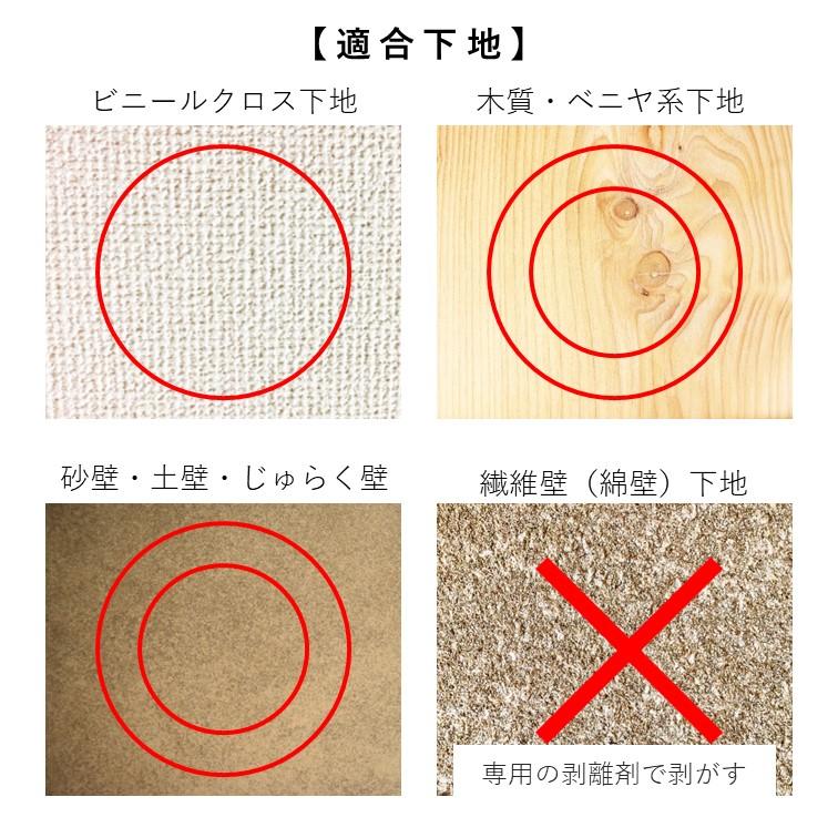 オーガニックウォール アク止め強力タイプ 4kg DIY 珪藻土 漆喰 下地 