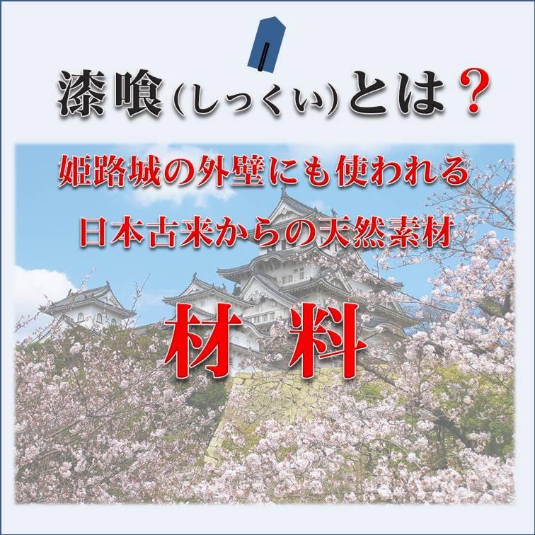 オーガニックウォール DIY 外部 外壁 塀 リフォーム リノベ 新築 天然素材 漆喰 自社製造 コテ塗 OSOTOしっくい 少量 10kg スノーホワイト｜ee-palette｜05