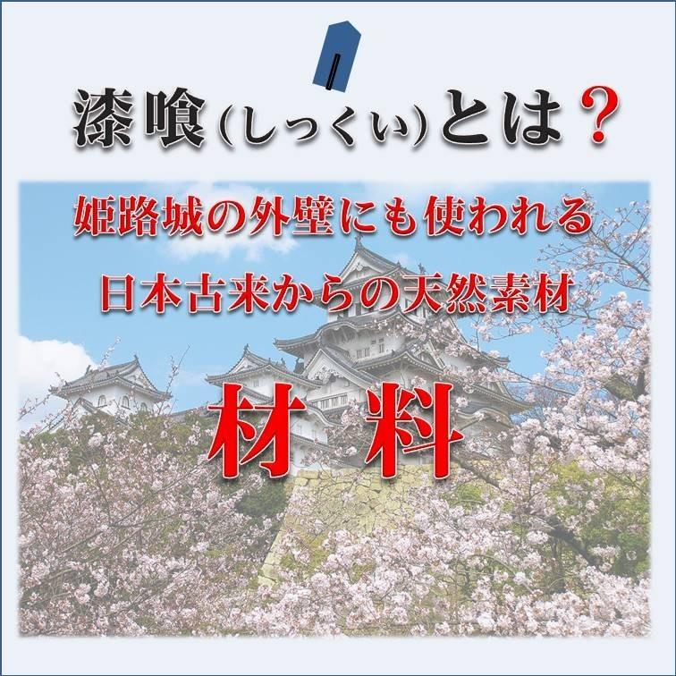 オーガニックウォール DIY 外部 外壁 塀 リフォーム リノベ 新築 天然素材 漆喰 自社製造 ローラー塗 OSOTOしっくい 少量 5kg スノーホワイト｜ee-palette｜05