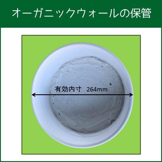 便利な ペール缶 バケツ プラスチック製 21.5リットル フタ付き 中身