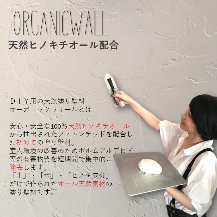 強力タイプ 1kg】DIY 珪藻土 漆喰 下地処理 リフォーム 室内壁 内装 