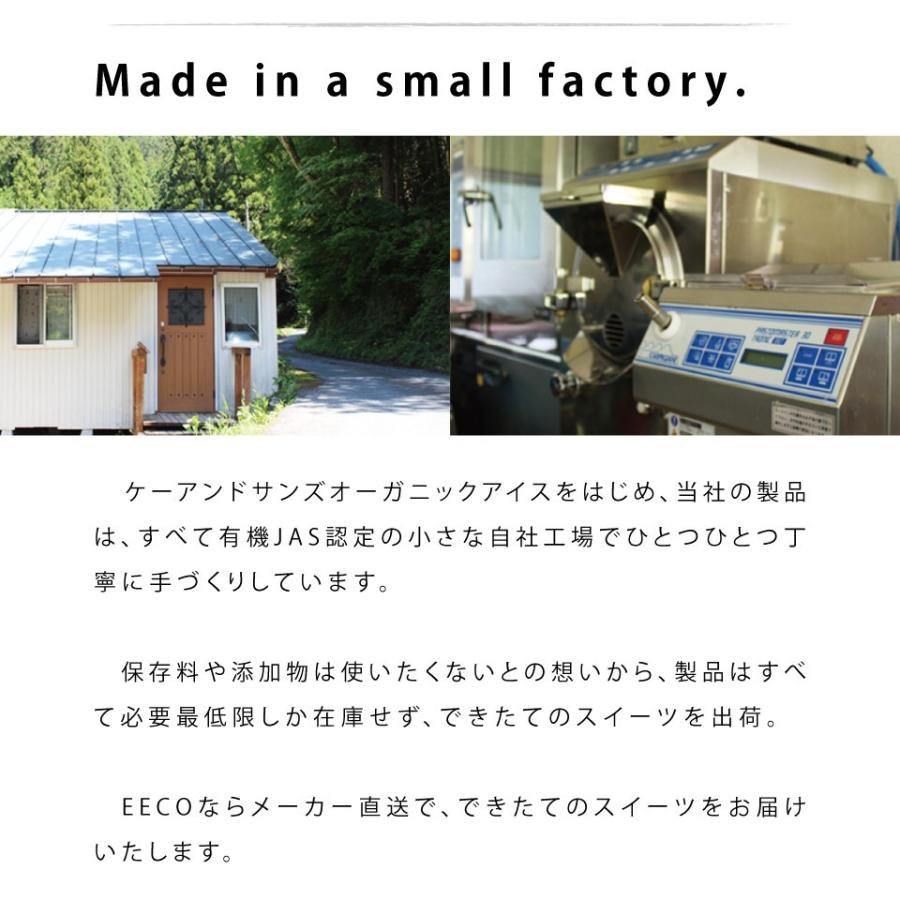 業務用 かき氷 アイスに 有機 チョコレート シロップ 180g 35個 K and Son's 有機JAS オーガニック チョコシロップ チョコソース 乳製品不使用 ヴィーガン 爆買_8