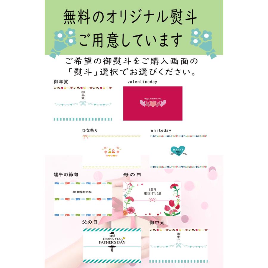 父の日 早割 プレゼント 50代 60代 70代 80代 ギフト 2024 アイスクリーム アイス お取り寄せスイーツ お菓子 お中元 オーガニック 豆乳アイス 6個 80ml｜eeco｜14