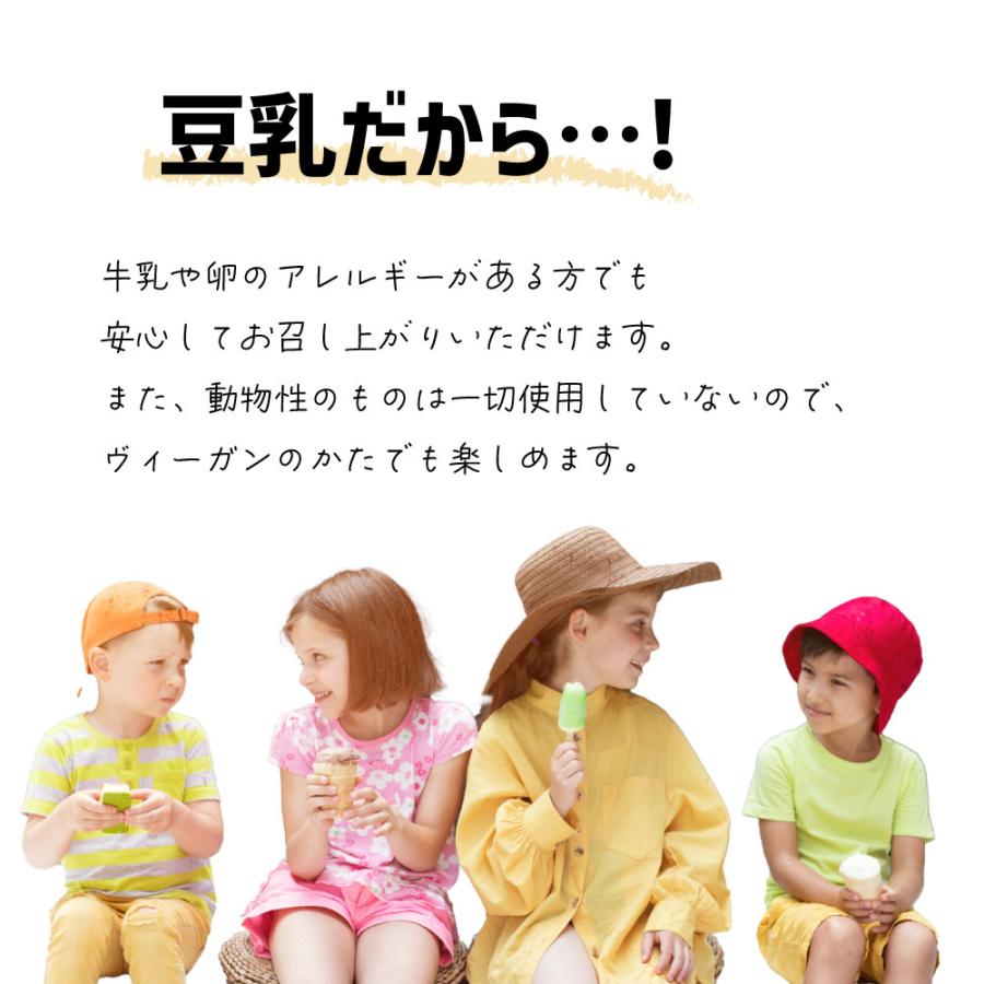 父の日 プレゼント 50代 60代 70代 80代 ギフト 2024 アイスクリーム アイス お取り寄せスイーツ お菓子 お中元 オーガニック 豆乳アイス 6個 100ml｜eeco｜17