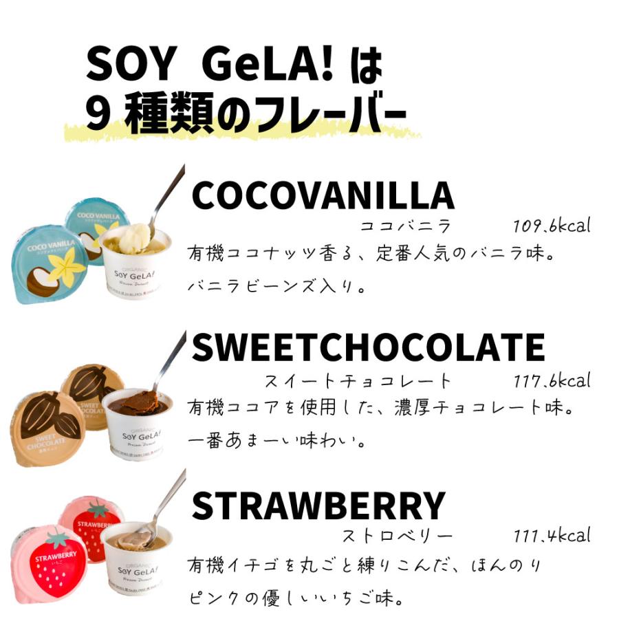 父の日 プレゼント 50代 60代 70代 80代 ギフト 2024 アイスクリーム アイス お取り寄せスイーツ お菓子 お中元 オーガニック 豆乳アイス 12個 100ml｜eeco｜21