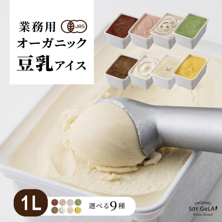 アイス アイスクリーム 業務用 無添加 有機JAS認定の素材使 用 カフェ