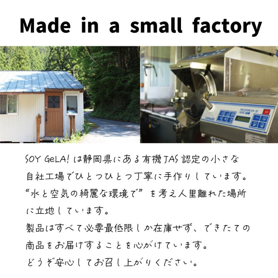 アイス アイスクリーム 業務用 無添加 有機JAS認定の素材使 用 カフェ オーガニック 豆乳アイス ジェラート ヴィーガン 1個 1,000ml SOY GeLA!｜eeco｜17