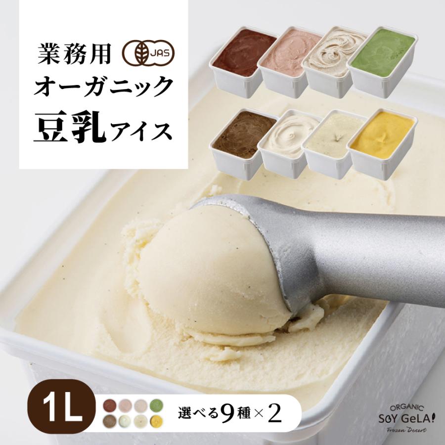 アイス アイスクリーム 業務用 無添加 有機JAS認定の素材使用 カフェ