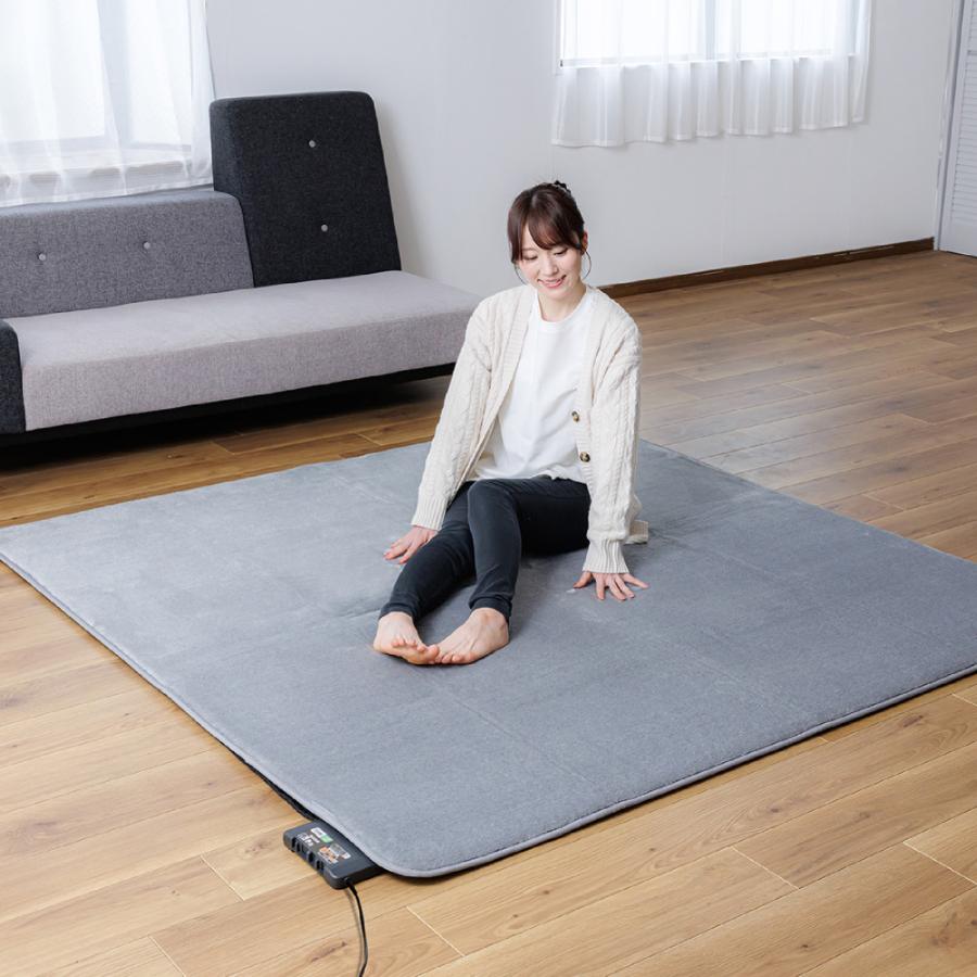 広電(KODEN) ホットカー ペット 176×176cm VWU201EH 電気カーペット | 広電 | 02
