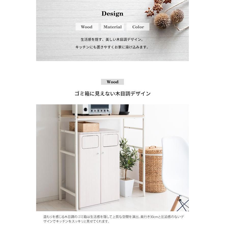 ゴミ箱 分別 45L 90L ごみ箱 ダストボックス キッチン リビング 掃除