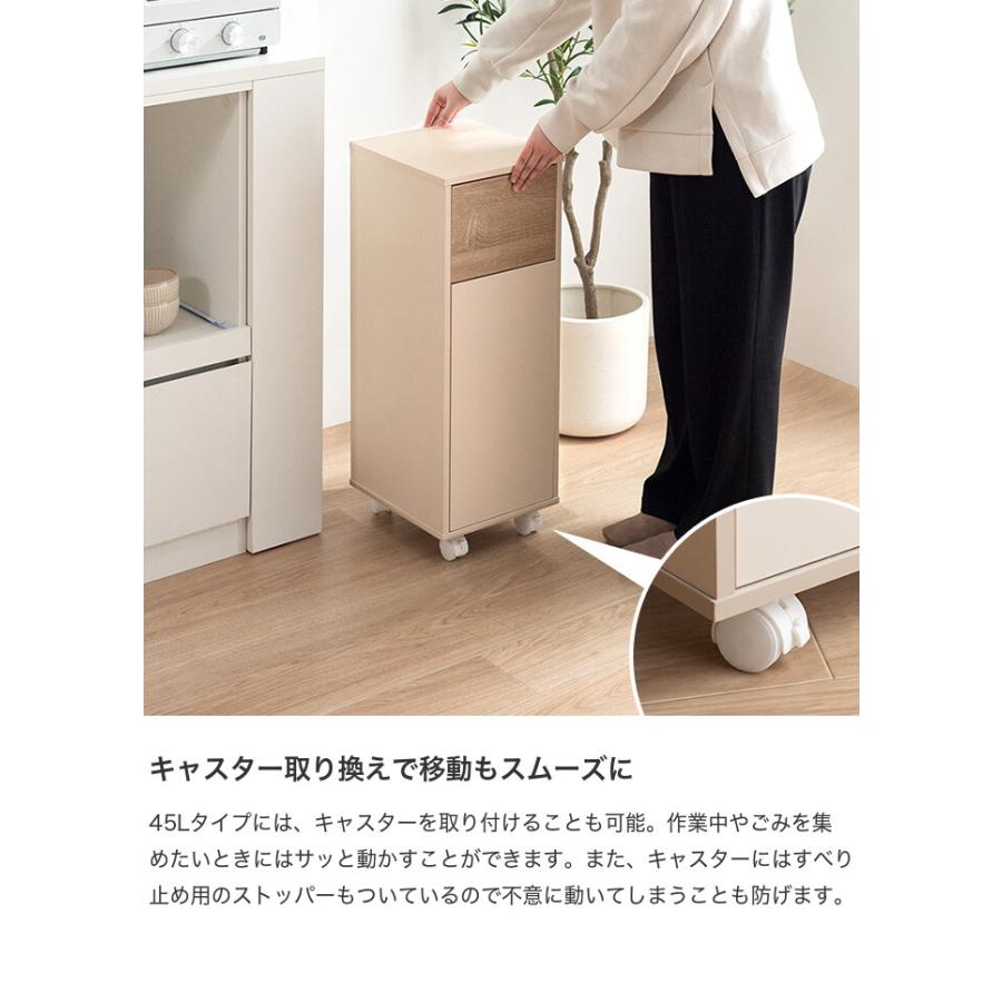 ダストボックス 45l 大きい ゴミ箱 リビング EKO エックス ウィング